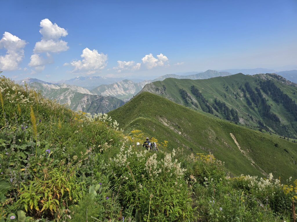 Sary Chelek 3000m