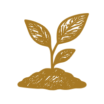 Environmental Pledge