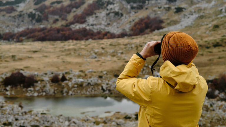 Write your own adventure