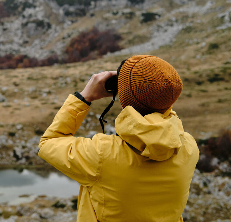 Write your own adventure