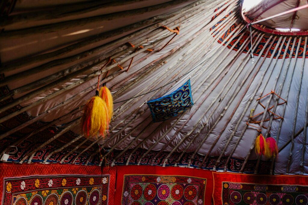 Husky sledging in wild Light Mongolia