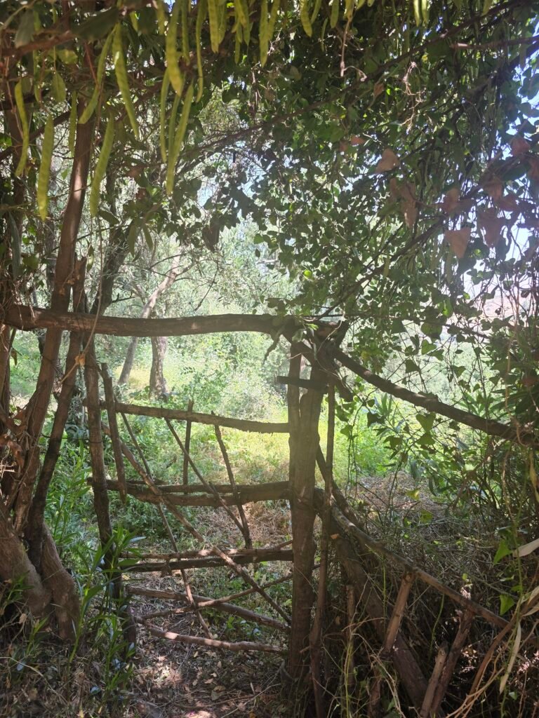 A handmade gate, in the Atlas Mountains